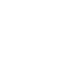 white lm logo icon
